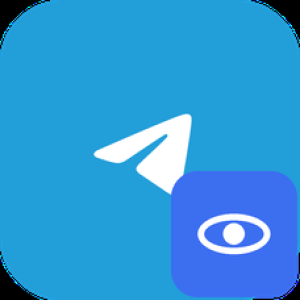 100 шт. — перегляди Stories Telegram